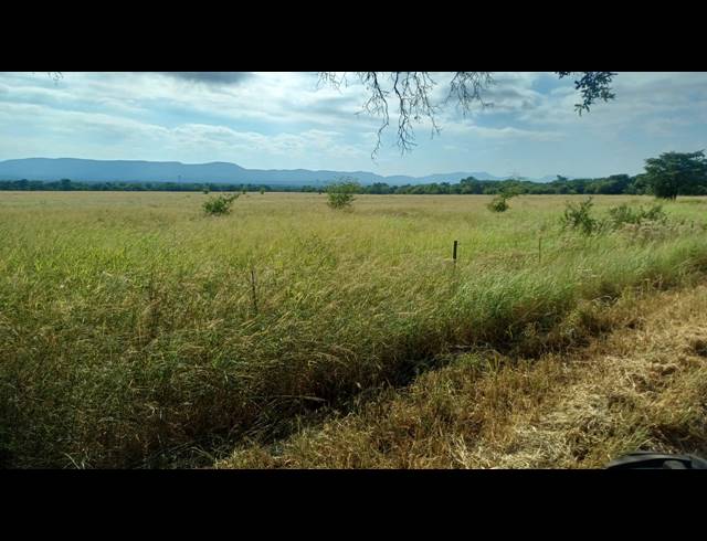 249.90HA FARM FOR SALE IN WATERVAL S H